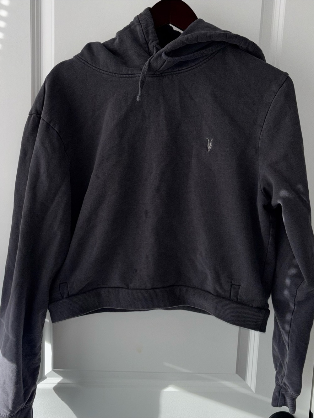 AllSaints Gray Cropped Hoodie with Embroidered Label